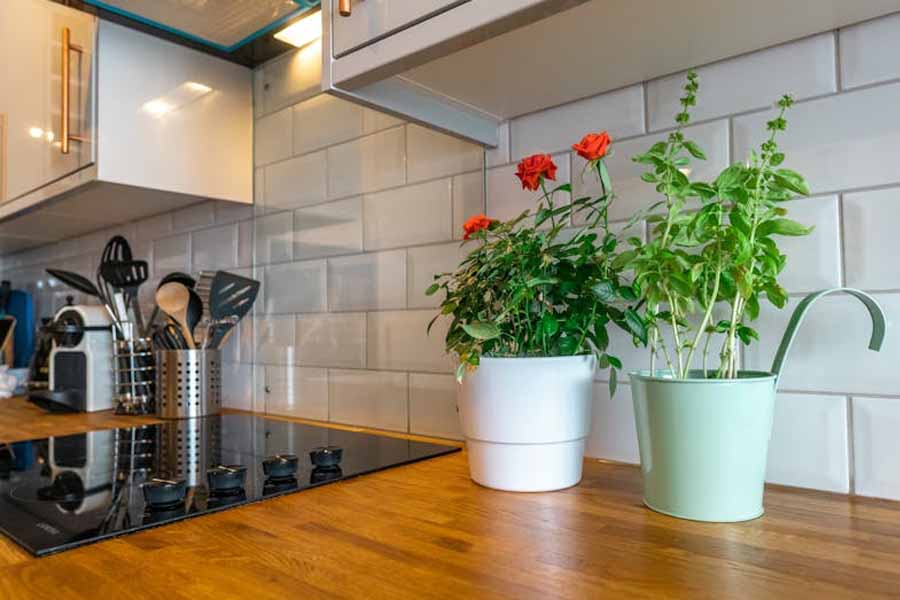 Tips to Maximizing Kitchen Efficiency with Minimum Efforts