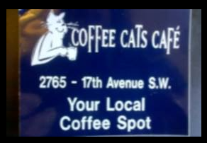 Coffee Cats Cafe