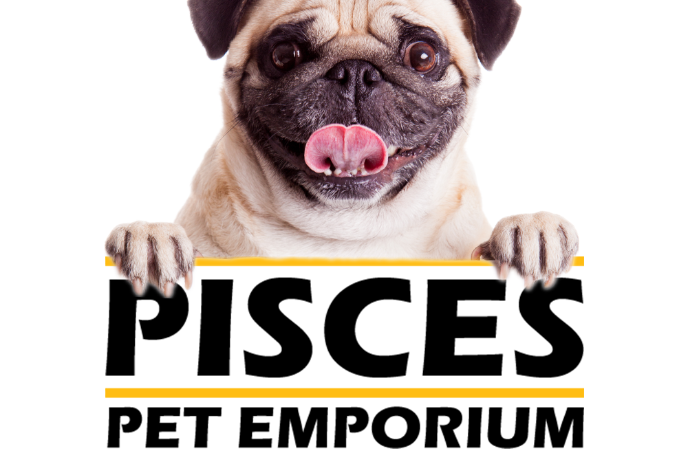 Pisces Exotica Pet Emporium LTD.